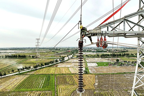 'Vượt nắng thắng mưa' thi công đường dây 500kV mạch 3- Ảnh 6. Công nhân kéo chuỗi sứ cách điện ở độ cao 60m tại huyện Hưng Hà (Thái Bình)