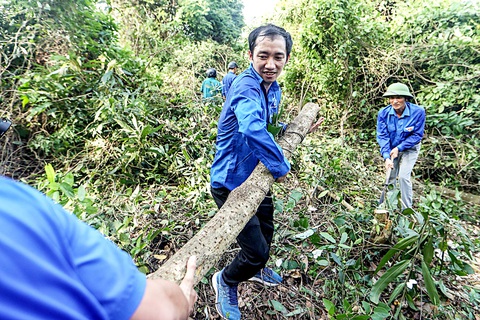 'Vượt nắng thắng mưa' thi công đường dây 500kV mạch 3- Ảnh 7. Phát cây, mở rộng hành lang an toàn dự án 500kV mạch 3 tại Nghi Sơn (Thanh Hóa)