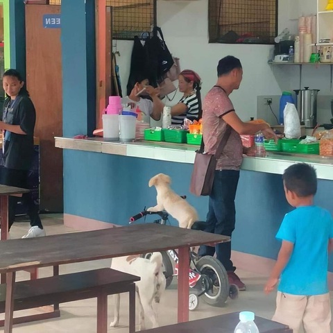 Ảnh vui 17-6: Ai rồi cũng khác- Ảnh 5. Lẹ lên sen ơi, đói rồi.