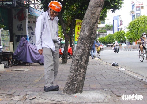 Hàng loạt cây xanh Người dân lo lắng hàng loạt cây xanh dọc hai bên đường Nguyễn Thái Sơn, TP.HCM bị bề mặt bê tông, gạch lát vỉa hè bóp nghẹt quanh gốc - Ảnh: TIẾN QUỐC