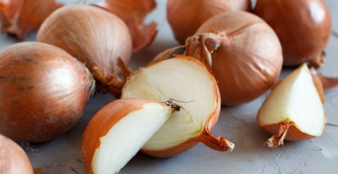 Thực phẩm dễ kiếm tốt cho 'chuyện ấy', quý ông nên ghi nhớ- Ảnh 2. Là loại thực phẩm giàu dinh dưỡng, hành tây mang lại nhiều công dụng tốt với sức khỏe, nhất là đối với nam giới - Ảnh minh họa: Getty