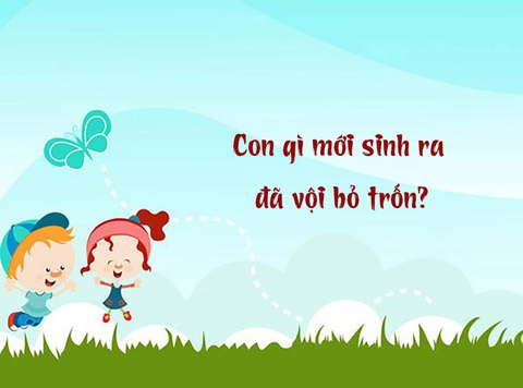 Con gì mới sinh ra đã vội bỏ trốn?- Ảnh 1. Con gì mới sinh ra đã vội bỏ trốn?- Ảnh 1.