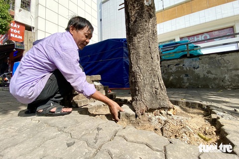 Gỡ xích, phá bê tông giải cứu cây xanh trên đường Nguyễn Thái Sơn- Ảnh 4. Có gốc cây đã