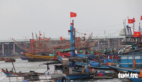 Kiểm soát chặt tàu cá 3 không trước 'đợt kiểm tra sinh tử' để gỡ thẻ vàng IUU- Ảnh 1. Tàu cá miền Trung ở cảng cá Thọ Quang - Ảnh: TRƯỜNG TRUNG