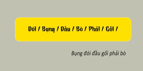 Thử tài tiếng Việt: Sắp xếp các từ sau thành câu có nghĩa (P117)- Ảnh 2. Thử tài tiếng Việt: Sắp xếp các từ sau thành câu có nghĩa (P117)- Ảnh 2.