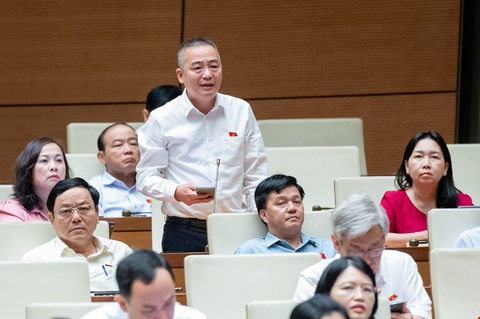 Xây trung tâm văn hóa ở nước ngoài lãng phí tốn kém, đại biểu lo 'chết yểu', sống ngắc ngoải- Ảnh 1. Đại biểu Nguyễn Lân Hiếu (Bình Định) - Ảnh: Quochoi.vn