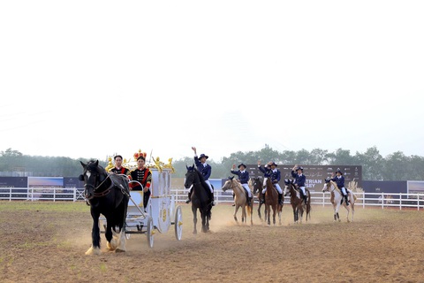 Sự kiện khai trương kỹ thuật Vinpearl Horse Academy. Ảnh: Đ.H Sự kiện khai trương kỹ thuật Vinpearl Horse Academy. Ảnh: Đ.H