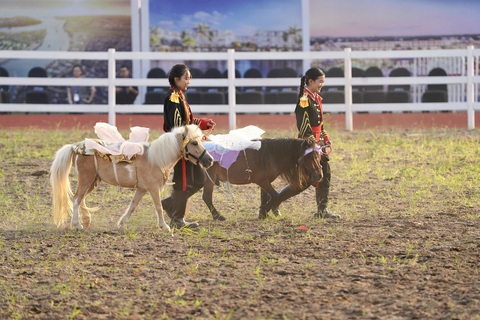 Ra mắt Học viện cưỡi ngựa tại Việt Nam- Ảnh 5. Sự kiện khai trương kỹ thuật Vinpearl Horse Academy. Ảnh: Đ.H