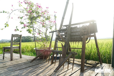 Chiếc cày, chiếc bừa và máy tuốt lúa siêu cổ được trưng bày giữa cánh đồng - Ảnh: NGUYỄN HIỀN Chiếc cày, chiếc bừa và máy tuốt lúa siêu cổ được trưng bày giữa cánh đồng