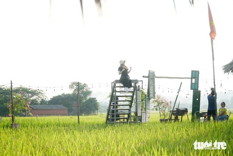 Cánh đồng lúa thơ mộng trong ánh chiều - Ảnh: NGUYỄN HIỀN Cánh đồng lúa thơ mộng trong ánh chiều