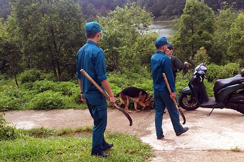 Phát hiện chân người tại Đà Lạt: Đã tìm thấy thi thể người phụ nữ- Ảnh 1. Lực lượng chức năng phát cây, cùng chó nghiệp vụ tìm kiếm thi thể - Ảnh: Công an cung cấp