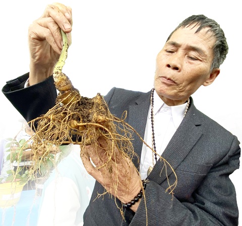 Sớm đưa sâm Việt thành ngành hàng tỉ USD- Ảnh 1. Một củ sâm đẹp, có giá cao được người dân đem đi thi tại hội thi sâm Ngọc Linh do huyện Nam Trà My, tỉnh Quảng Nam tổ chức - Ảnh: LÊ TRUNG