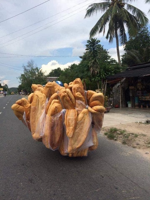 Ảnh vui 2-6: Ngày đầu học lái xe- Ảnh 2. Trung bình một ổ bánh mì ở miền Tây kiểu...