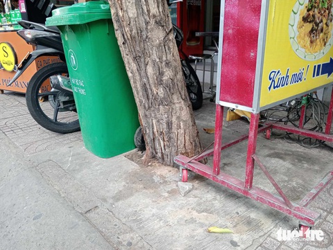Đủ kiểu 'bức tử' cây xanh đường phố: Đóng đinh, trám xi măng, trói gốc cây- Ảnh 3. Gốc cây trên đường Bạch Đằng (quận Tân Bình) bị bao vây bởi bê tông, bảng hiệu - Ảnh: ĐỊNH DƯƠNG