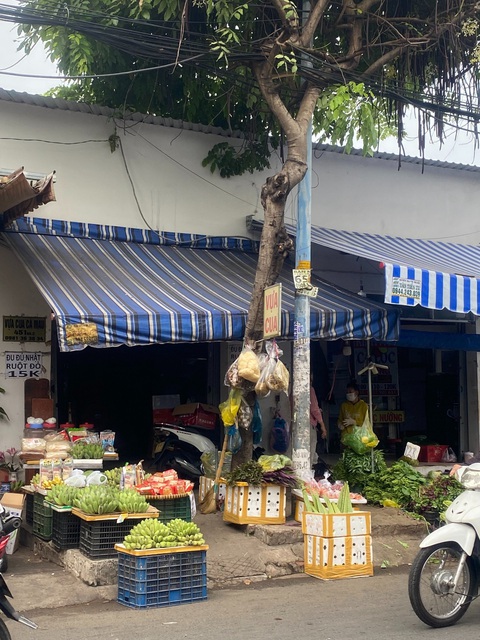 Đủ kiểu 'bức tử' cây xanh đường phố: Đóng đinh, trám xi măng, trói gốc cây- Ảnh 10. Treo rau củ trên cây đế bán ở khu vực chợ ngã tư Bốn Xã, đường Hương lộ 2, quận Bình Tân - Ảnh: HỒNG ĐIỆP