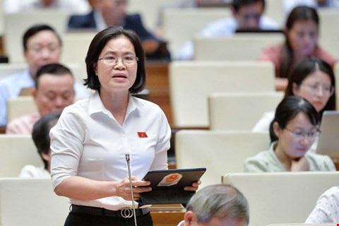 Tách người chưa thành niên ra khỏi vụ án: Đại biểu Quốc hội tranh luận lợi hay không lợi?- Ảnh 2. Đại biểu Nguyễn Thị Hồng Hạnh - phó giám đốc Sở Tư pháp TP.HCM - Ảnh: GIA HÂN