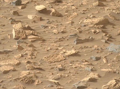 NASA phát hiện 'đá bỏng ngô' kỳ lạ trên sao Hỏa- Ảnh 1. Vùng đá có tông sáng với kết cấu giống