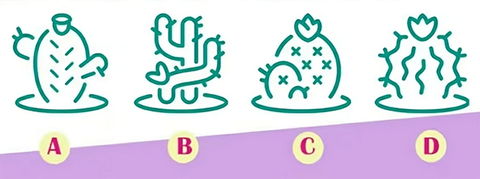 Quiz: Trong mắt mọi người, bạn ở hiện tại hay quá khứ quyến rũ hơn?- Ảnh 1. Quiz: Trong mắt mọi người, bạn ở hiện tại hay quá khứ quyến rũ hơn?- Ảnh 1.