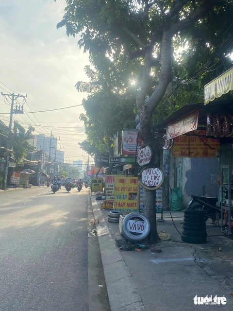 'Bức tử' cây xanh bị xử phạt ra sao?- Ảnh 1. Dùng cây xanh để treo vỏ xe trên đường Thoại Ngọc Hầu, quận Tân Phú - Ảnh: HỒNG ĐIỆP