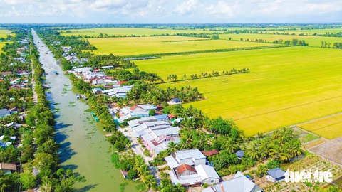 Phân bón dỏm từ Long An, TP.HCM luồn về miền Tây- Ảnh 1. Kiên Giang là một trong những tỉnh ở miền Tây có diện tích trồng lúa lớn - Ảnh: CHÍ CÔNG