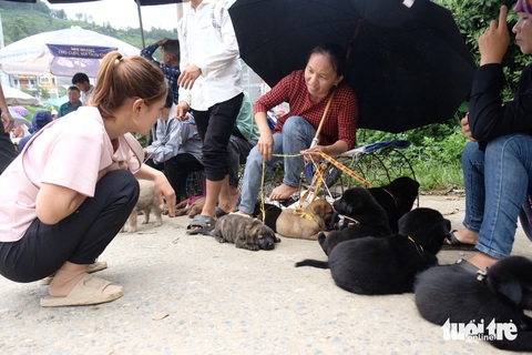 Livestream bán chó ở chợ phiên Bắc Hà, thu nhập bạc triệu mỗi buổi- Ảnh 12. Phiên này mang xuống chợ bán chưa hết, phiên sau mình lại dắt đi