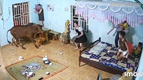 Ảnh vui 24-6: Trời đánh không tránh bữa ăn!- Ảnh 1. Ăn cơm mà không mời tôi à?