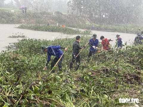 Hàng trăm người trẻ Đà Nẵng dầm mưa vớt bèo khơi thông hồ 20.000 mét vuông- Ảnh 1. Dù mưa lớn, hàng trăm người trẻ vẫn dầm mình vớt bèo để khơi thông dòng sông bị ứ đọng - Ảnh: ĐOÀN NHẠN