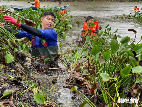 Hàng trăm người trẻ Đà Nẵng dầm mưa vớt bèo khơi thông hồ 20.000 mét vuông- Ảnh 3. Gần 400 tình nguyện viên thuộc các khối lực lượng vũ trang, đoàn viên thanh niên xã, sinh viên tham gia trục vớt bèo tây - Ảnh: ĐOÀN NHẠN