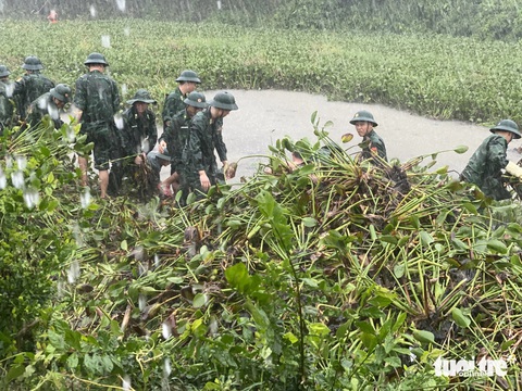 Hàng trăm người trẻ Đà Nẵng dầm mưa vớt bèo khơi thông hồ 20.000 mét vuông- Ảnh 5. Ngay ngày đầu tiên ra quân, trời mưa lớn nhưng các bạn trẻ tình nguyện vẫn tích cực triển khai công việc - Ảnh: ĐOÀN NHẠN