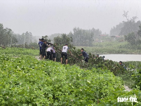 Hàng trăm người trẻ Đà Nẵng dầm mưa vớt bèo khơi thông hồ 20.000 mét vuông- Ảnh 6. Những mùa lũ về kéo theo nhiều cây cối, rác rến đóng đặc giữa hồ - Ảnh: ĐOÀN NHẠN