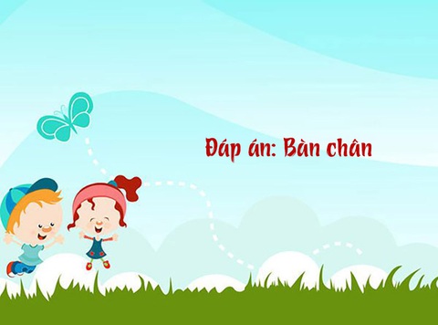 Cái gì đi nằm, nằm thì đứng?- Ảnh 2.