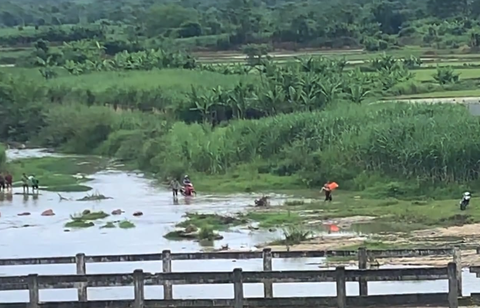 Anh trai cứu em gái bất thành, cả hai chết đuối- Ảnh 1. Khúc sông nơi hai anh em N. gặp nạn - Ảnh: TÂM PHẠM