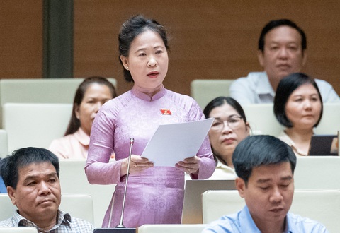 Đánh thuế phân bón, đại biểu Quốc hội nói đừng để nông dân gồng mình chịu đựng- Ảnh 1. Đại biểu Tô Ái Vang (Sóc Trăng) - Ảnh: QUOCHOI.VN