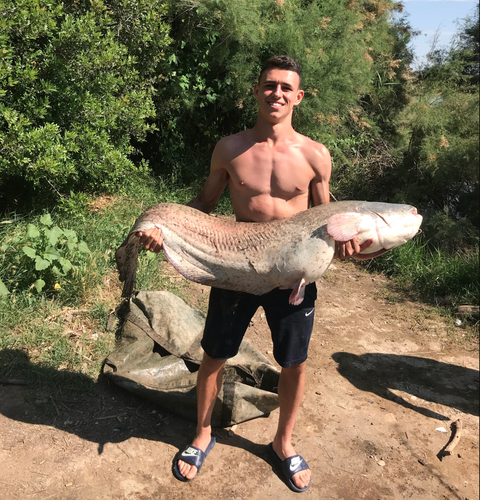Phil Foden câu cá khổng lồ trong bản doanh tuyển Anh ở Euro 2024- Ảnh 1. Phil Foden chia sẻ ‘chiến tích’ câu cá khổng lồ tại bản doanh của tuyển Anh ở Euro 2024.