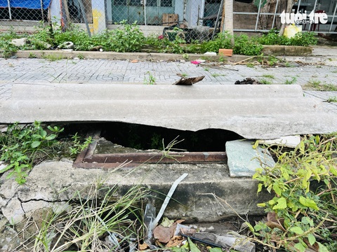 Những miệng cống trơ trọi chực chờ bẫy người đi đường- Ảnh 12. Nắp cống trên đường Nguyễn Quang Bật, TP Thủ Đức bị hư, người dân dùng tôn, nhánh cây che lại - Ảnh: XUÂN ĐOÀN