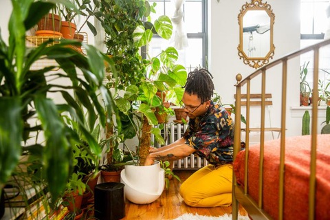 Chiêm ngưỡng căn hộ xanh trong lòng Brooklyn của Christopher Griffin- Ảnh 2. Đồng hành cùng thiên nhiên - Ảnh: HGTV