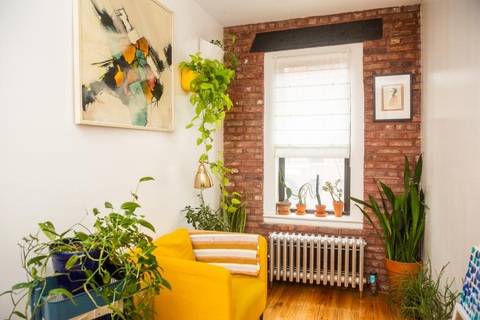Chiêm ngưỡng căn hộ xanh trong lòng Brooklyn của Christopher Griffin- Ảnh 11. Góc thư giãn và chăm sóc cây cối sau giờ làm việc - Ảnh: HGTV