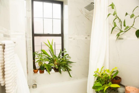 Chiêm ngưỡng căn hộ xanh trong lòng Brooklyn của Christopher Griffin- Ảnh 14. Cây dương xỉ và điểm nhấn trong phòng tắm - Ảnh: HGTV