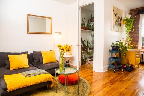 Chiêm ngưỡng căn hộ xanh trong lòng Brooklyn của Christopher Griffin- Ảnh 3. Việc bố trí vị trí thích hợp cho từng loại cây trong căn hộ được tính toán cẩn thận - Ảnh: HGTV