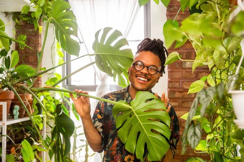 Chiêm ngưỡng căn hộ xanh trong lòng Brooklyn của Christopher Griffin- Ảnh 8. Cây trầu bà lá xẻ Nam Mỹ tươi tốt - Ảnh: HGTV