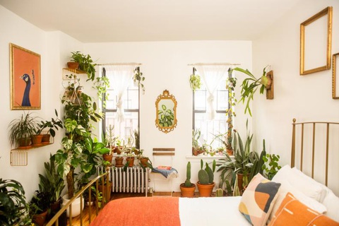 Chiêm ngưỡng căn hộ xanh trong lòng Brooklyn của Christopher Griffin- Ảnh 16. Phòng ngủ nhỏ đầy cây xanh với những điểm nhấn màu cam vui mắt - Ảnh: HGTV