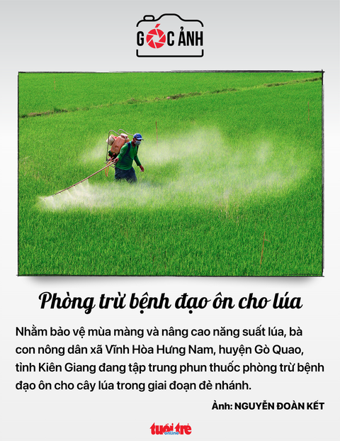 Tin tức sáng 26-6: Hôm nay thông xe 500m đường C12 kết nối nhà ga T3 Tân Sơn Nhất- Ảnh 13. Phòng trừ bệnh đạo ôn cho lúa