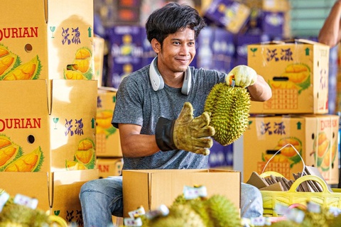 Thái Lan khuyến cáo nông dân khi Trung Quốc tự trồng được sầu riêng- Ảnh 1. Thái Lan khuyến cáo nông dân khi Trung Quốc tự trồng được sầu riêng- Ảnh 1.