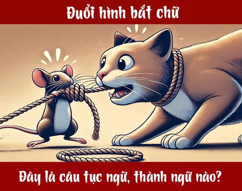 IQ cao có đoán được đây là câu tục ngữ, thành ngữ gì? (P80)- Ảnh 1. IQ cao có đoán được đây là câu tục ngữ, thành ngữ gì? (P80)- Ảnh 1.