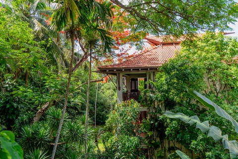 Ấn tượng trảng rừng nhiệt đới trong resort Đà Nẵng- Ảnh 5. Cây ôm ấp và che mát những khu vực dành cho lưu trú - Ảnh: B.D.