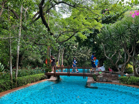 Ấn tượng trảng rừng nhiệt đới trong resort Đà Nẵng- Ảnh 2. Khách lưu trú đi giữa tán rừng già trong Furama Resort Đà Nẵng - Ảnh: B.D.