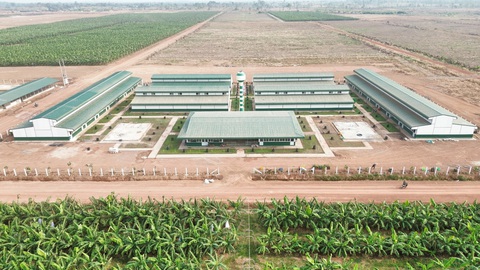 THACO AGRI đầu tư cơ sở vật chất, chăm lo đời sống người lao động- Ảnh 1. Khu nhà ở tại Nông trường DP1.1 KLH Koun Mom được THACO AGRI đầu tư khang trang, tiện nghi - Ảnh: THACO AGRI.