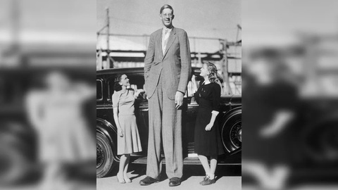 Người khổng lồ đã từng tồn tại?- Ảnh 1. Robert Wadlow, người cao nhất được ghi nhận, cao tới 2,72m trước khi qua đời ở tuổi 22 vào năm 1940 - Ảnh: Getty