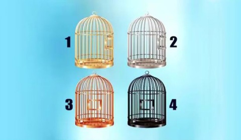 Quiz: Điều gì kìm hãm bước tiến của bạn?- Ảnh 1. Quiz: Điều gì kìm hãm bước tiến của bạn?- Ảnh 1.