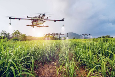 TTC AgriS được Fortune vinh danh top 500 doanh nghiệp lớn nhất Đông Nam Á- Ảnh 2. TTC AgriS tiên phong dẫn dắt các xu hướng nông nghiệp tương lai, đặt mục tiêu Net Zero vào năm 2035 - Ảnh: T.C.